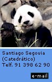 Santiago Segovia