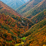 El bosque de Muniellos: una reserva natural y antropocultural 