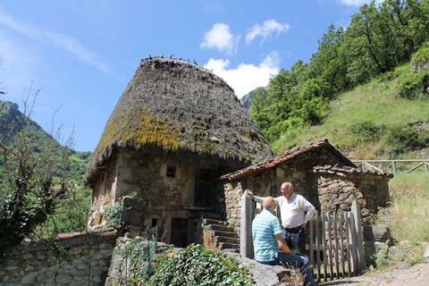 Tejados de escoba.