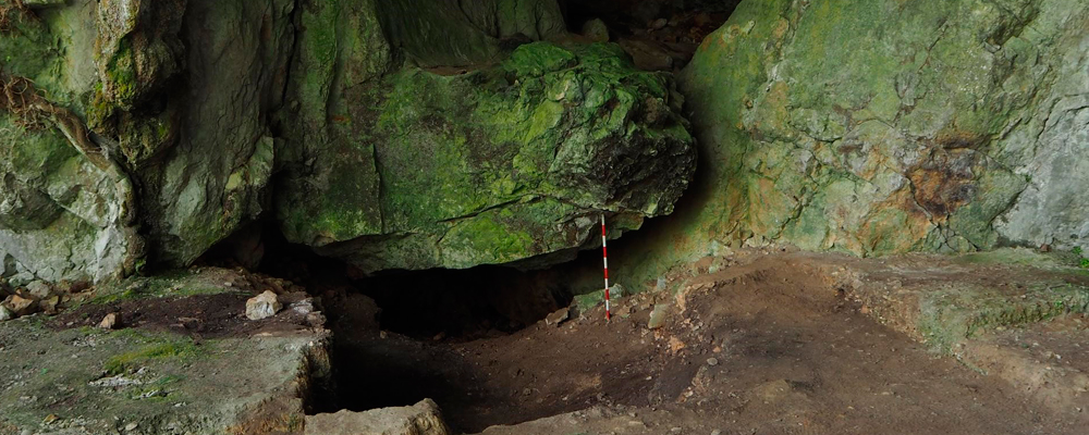 Yacimiento paleolítico de Cova Rosa (Sardéu, Ribadesella).